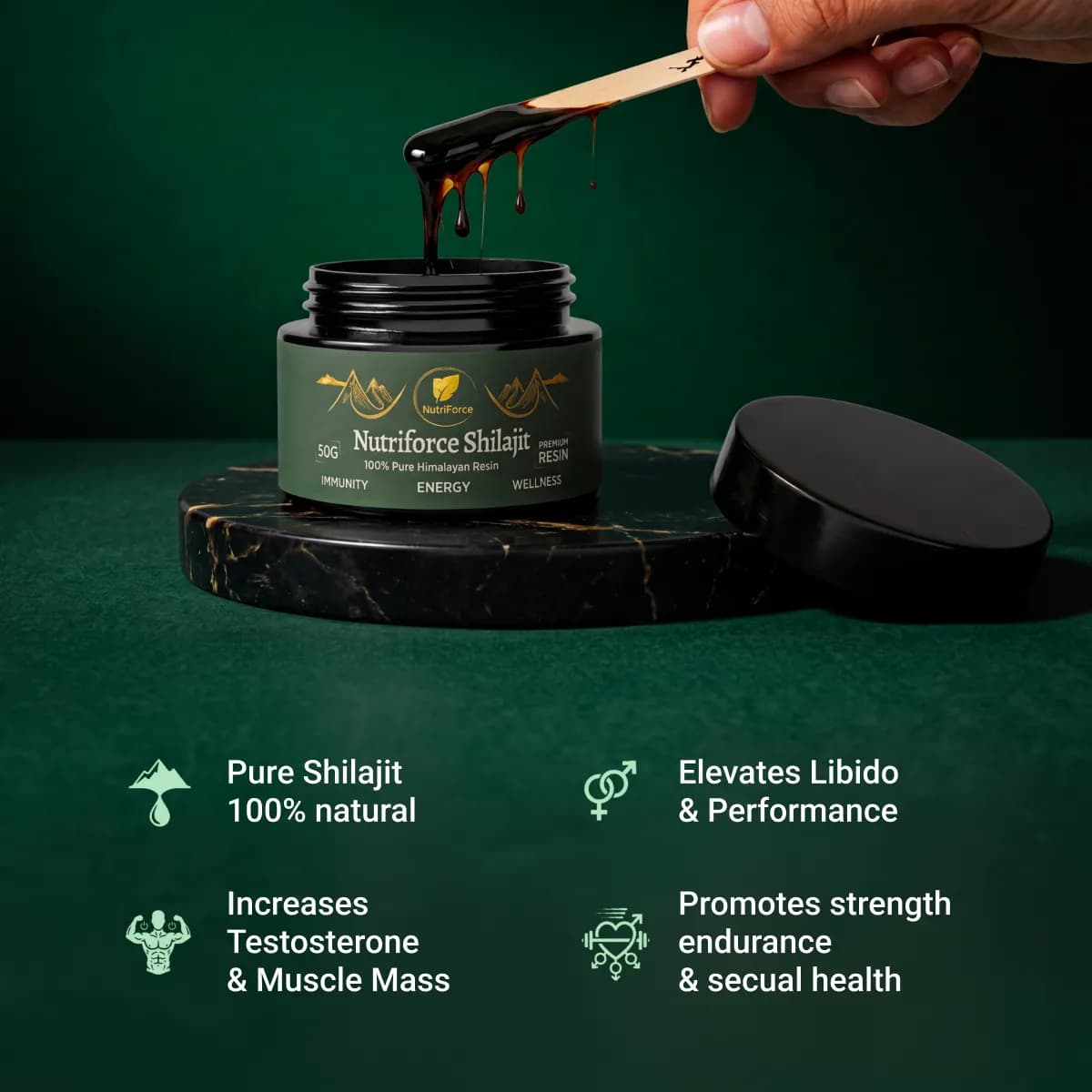 Himalayan Shilajit Resin