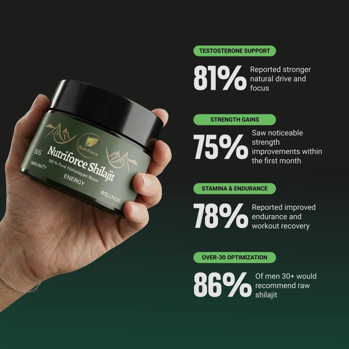 Himalayan Shilajit Resin, view 2